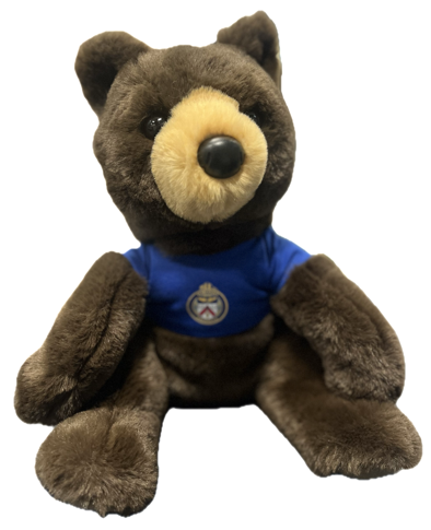 TORONTO POLICE BEAR