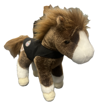 TORONTO POLICE BLANKET APPALOOSA HORSE