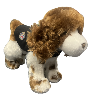 TORONTO POLICE SPRINGER SPANIEL